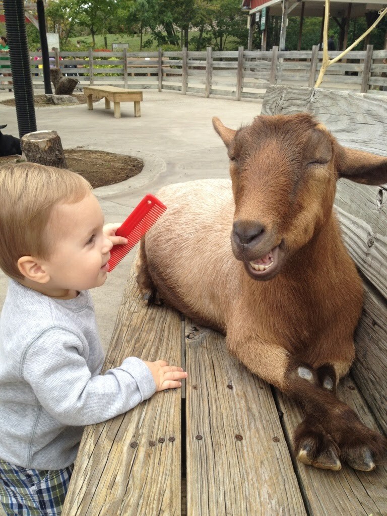 Casual Afternoon Conversation