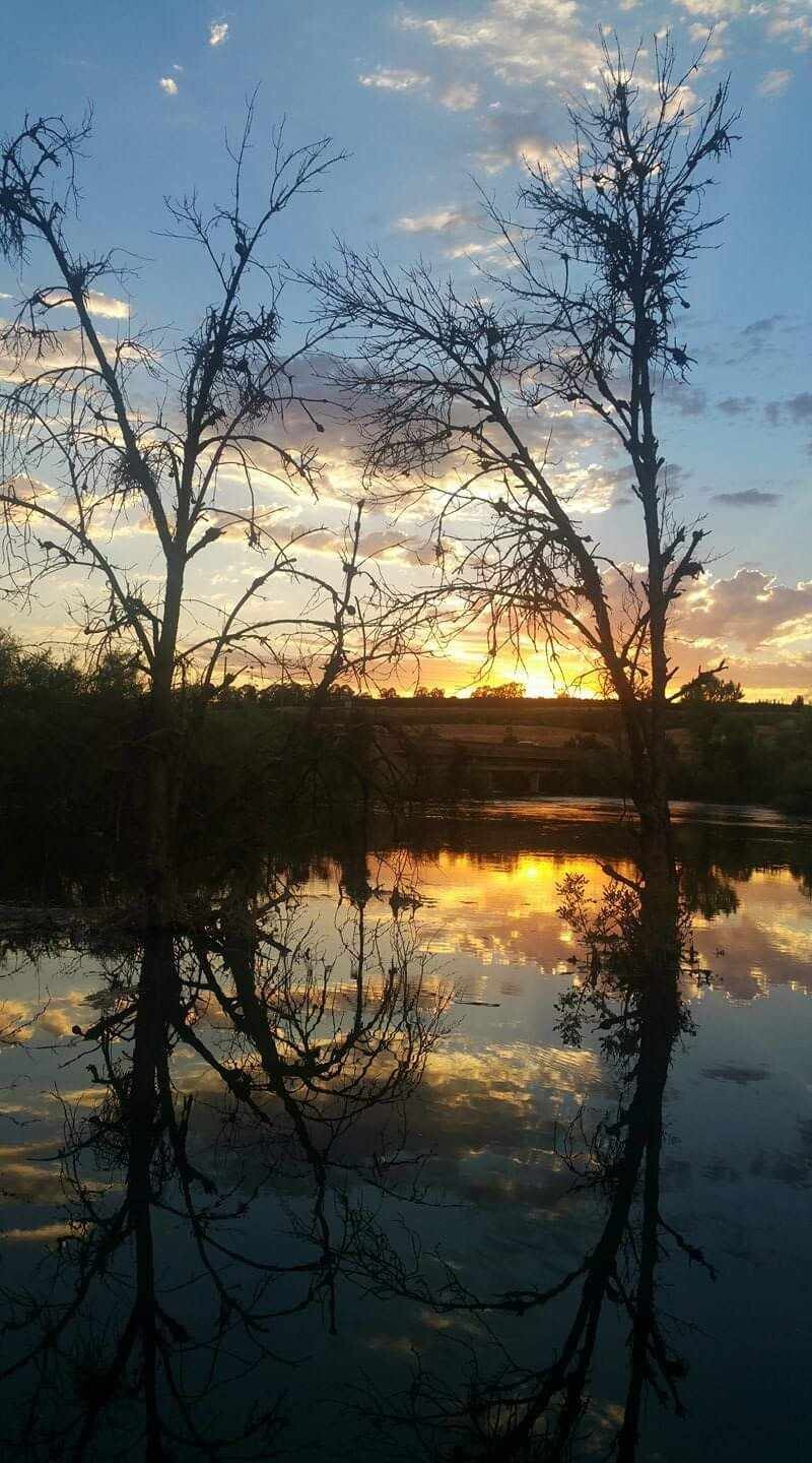 Beautiful reflexión