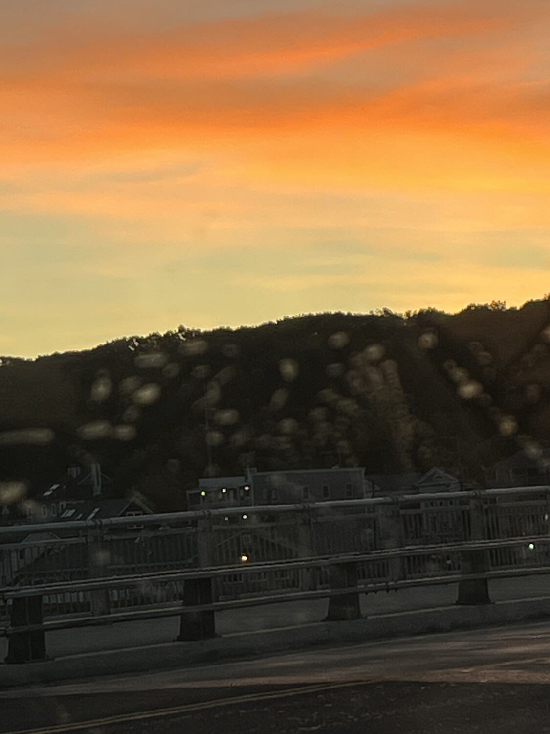 Early Assorted colors