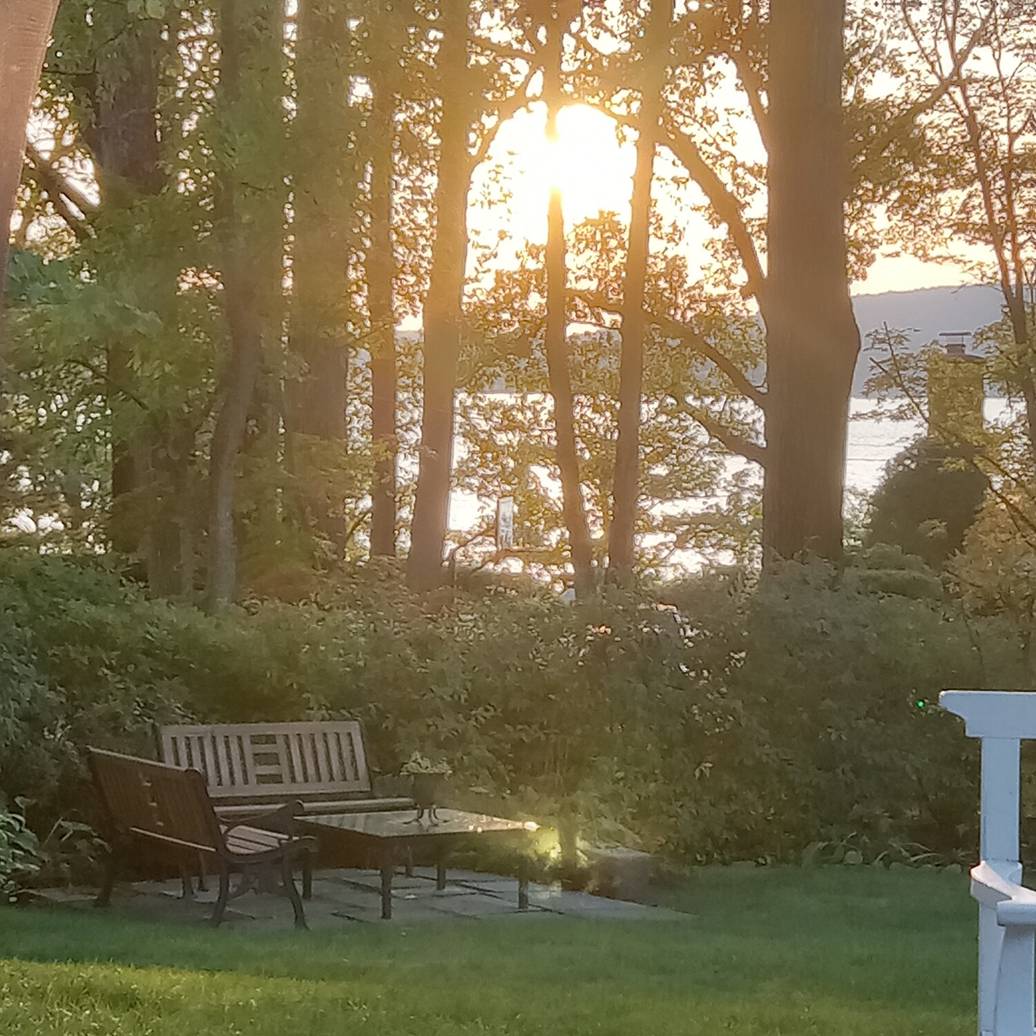 Nature the beautiful  .