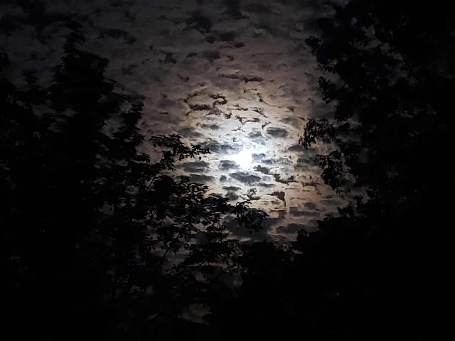 Cloudy Moon