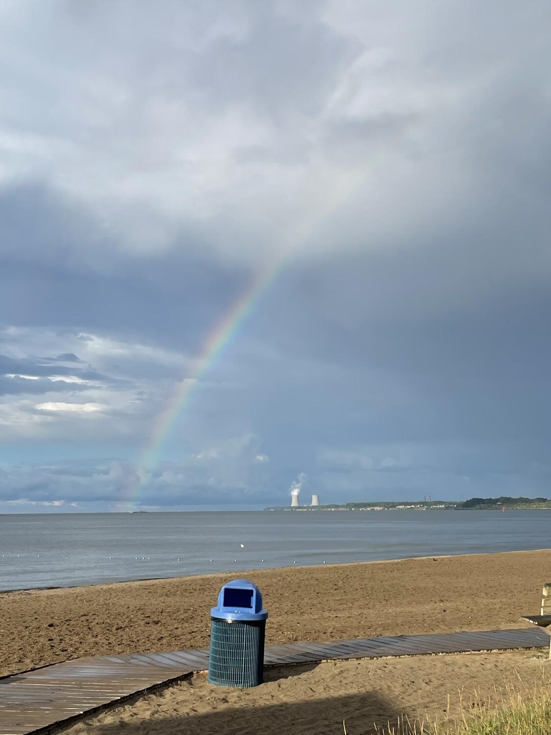 Beauty after the storm