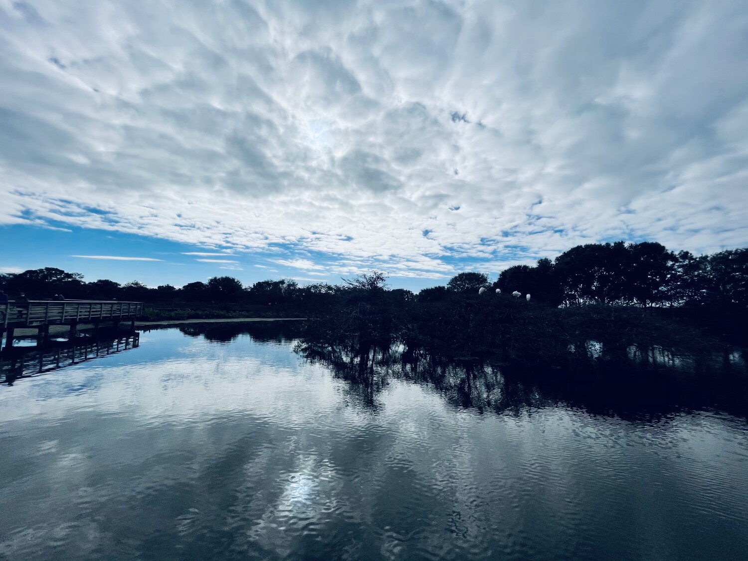Reflections at Wakodahatchee