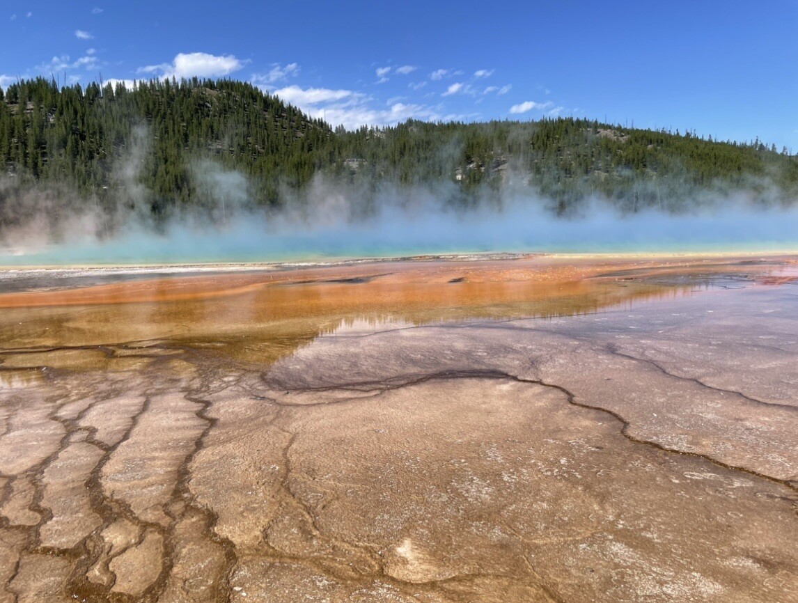 The amazing yellow stone