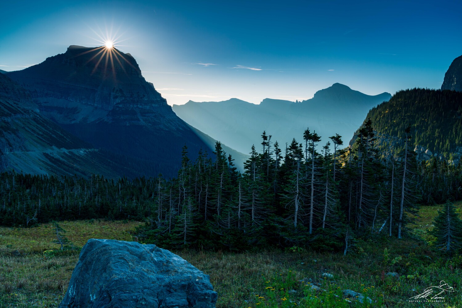 Sunrise at Logan Pass / Glacier National Park