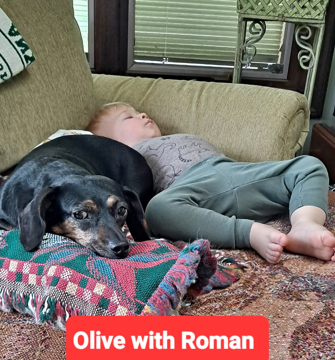 Olive&Roman