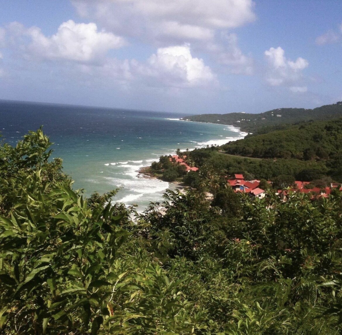 View of Carambola USVI St. Croix