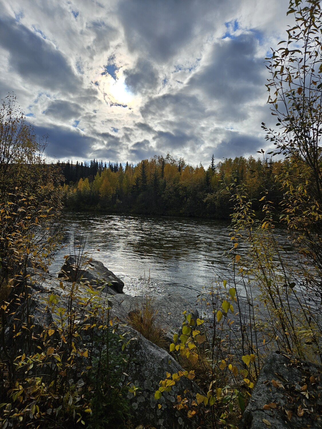 Alaskan Wilderness Solitude