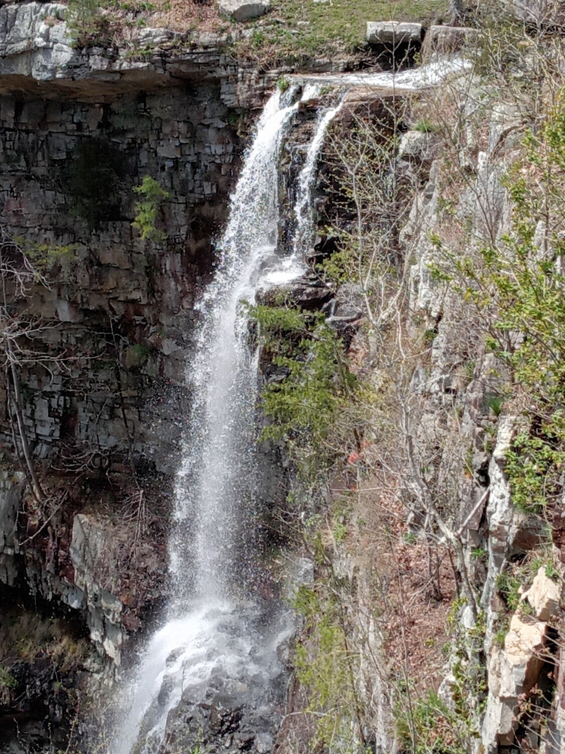 Jasper Hillands in Tennessee