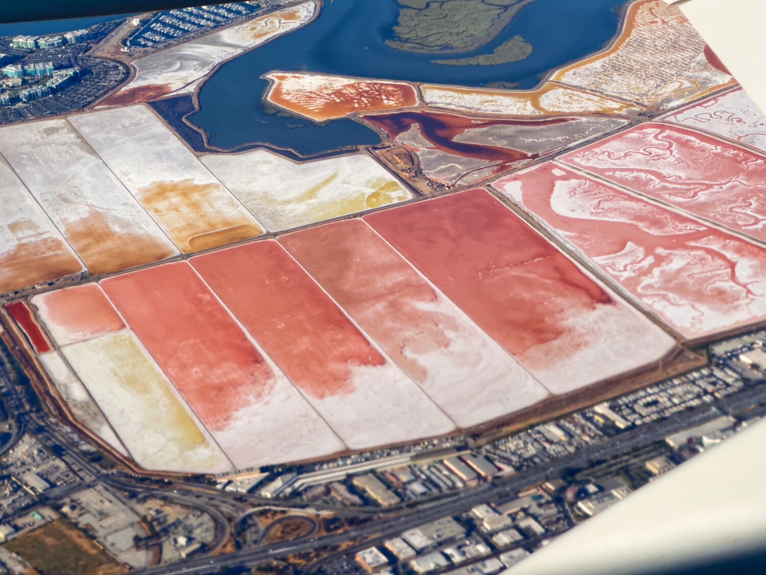 Kaleidoscope of colors.