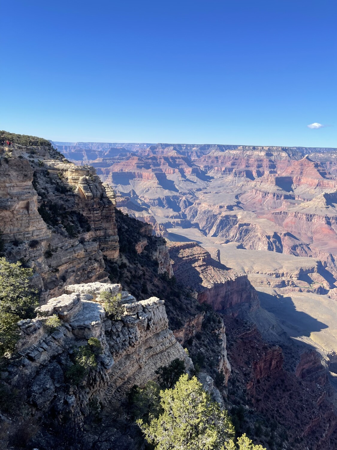 The Grand Canyon