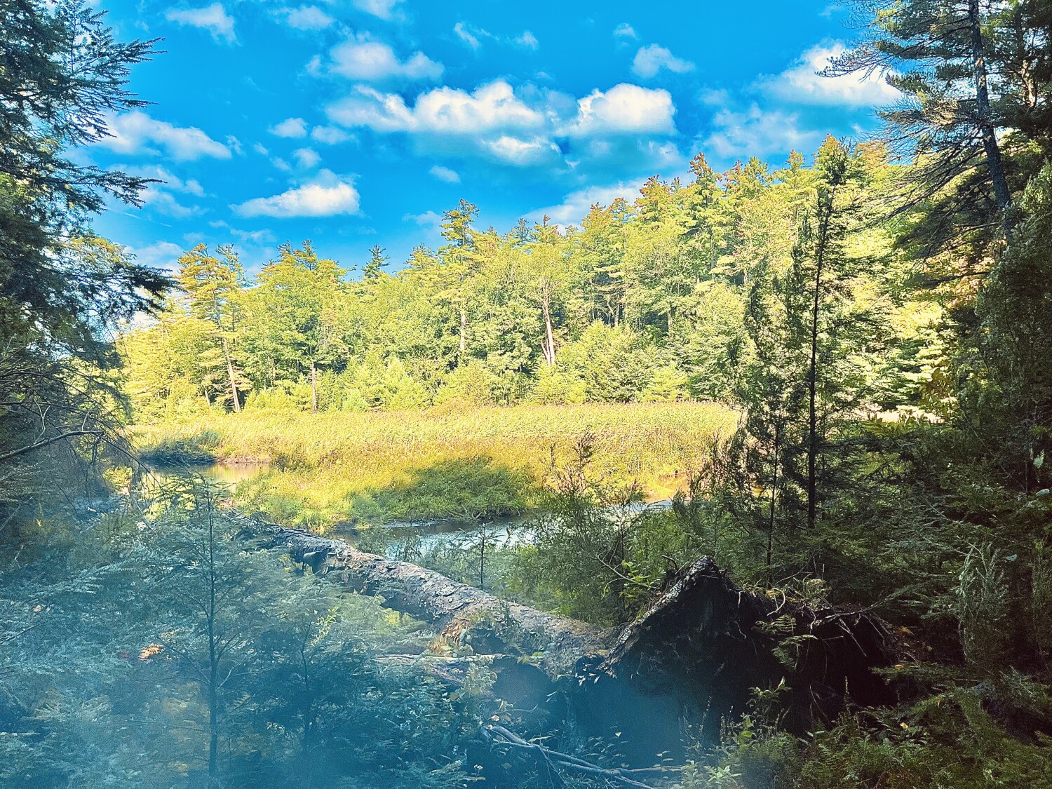 Endless opportunities