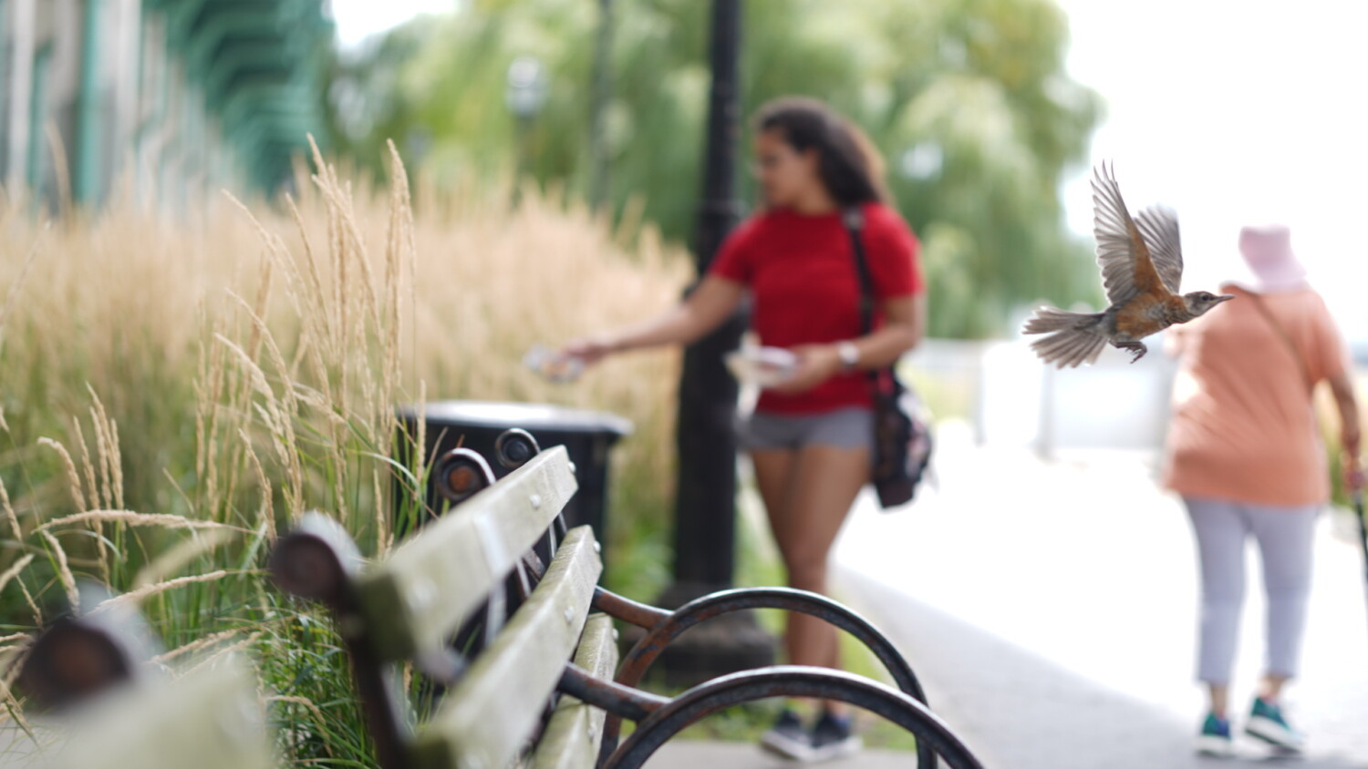 Just passing through