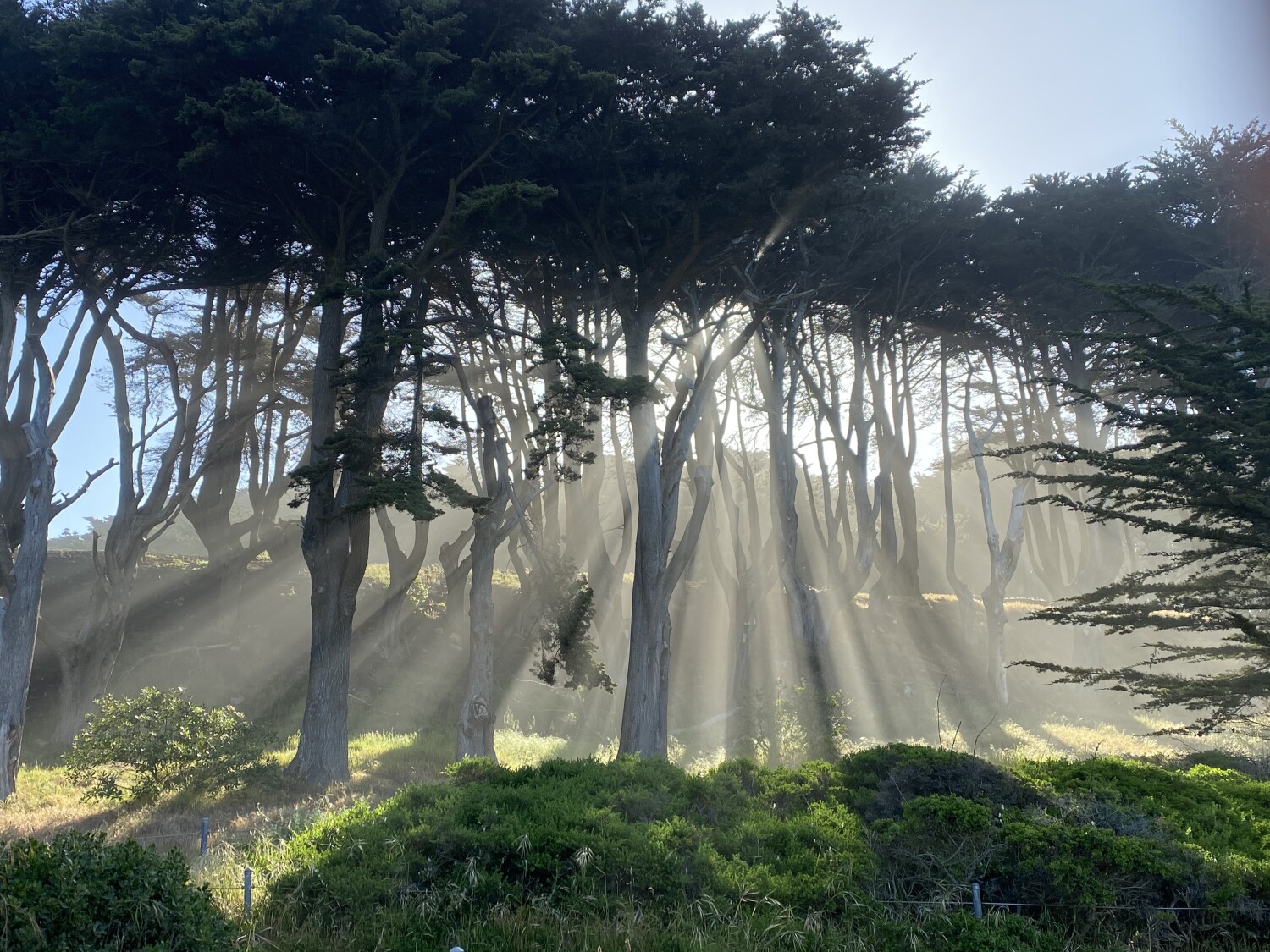 The beauty of God’s Creation