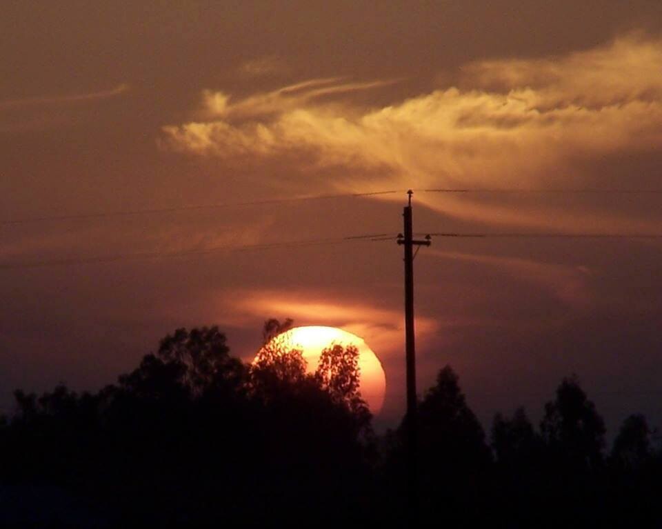 Dragon flying over the Sun