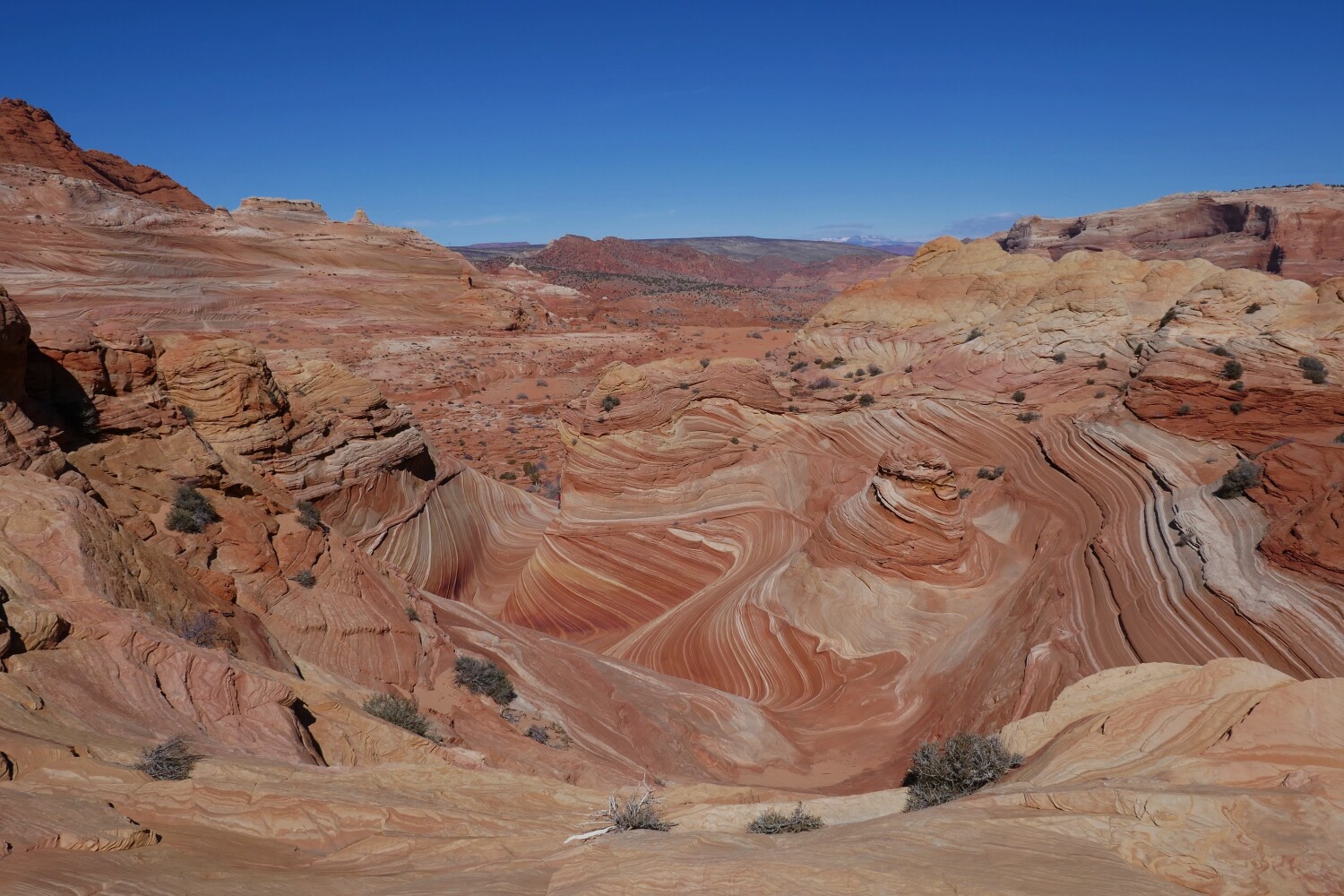 The “Wave” around