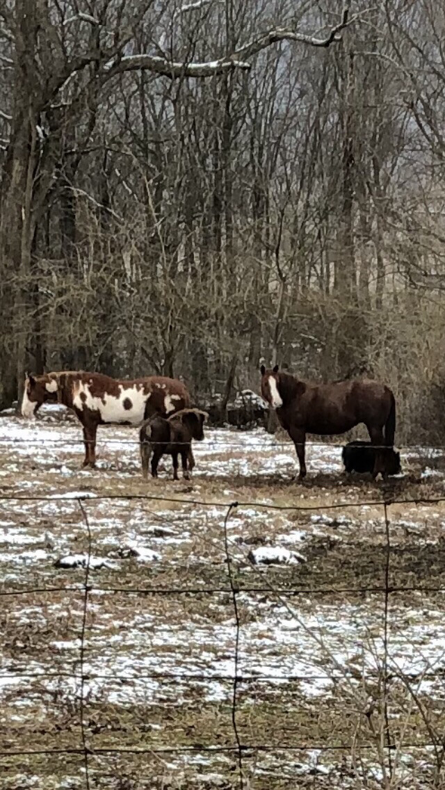 Weathering the weather together