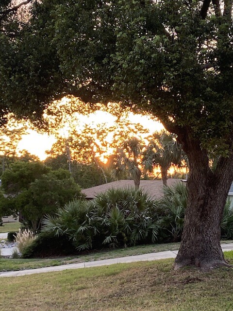 Sunset in Deltona Fl