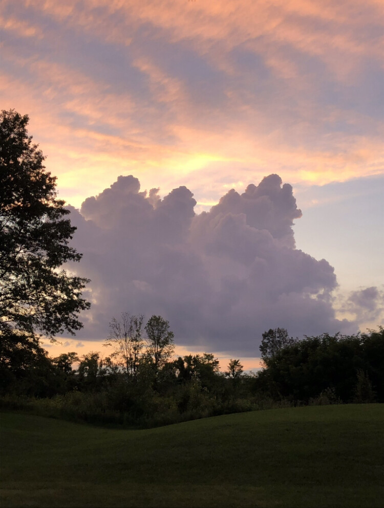 Albany Clouds at Sunset