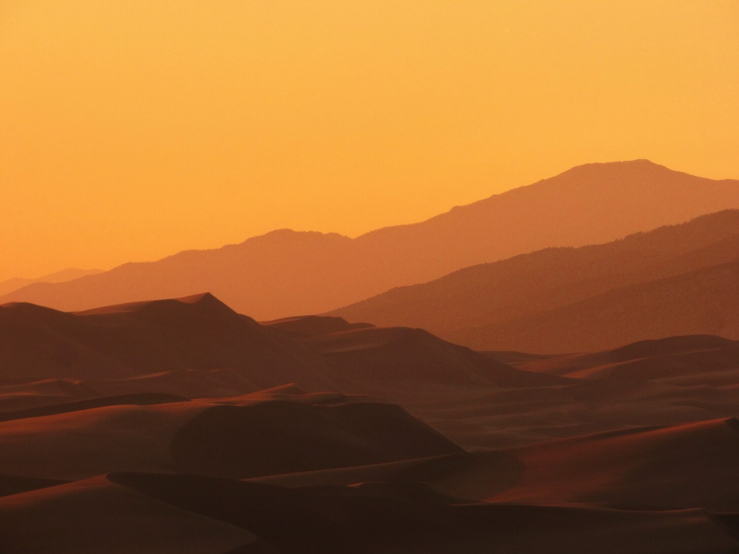 Orange Creamsicle on Earth