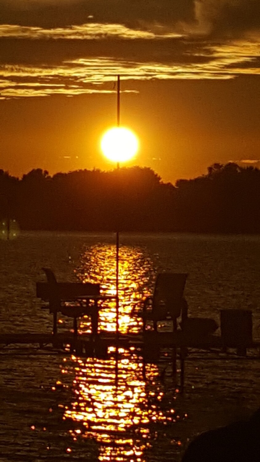 Endless Summer ☀️