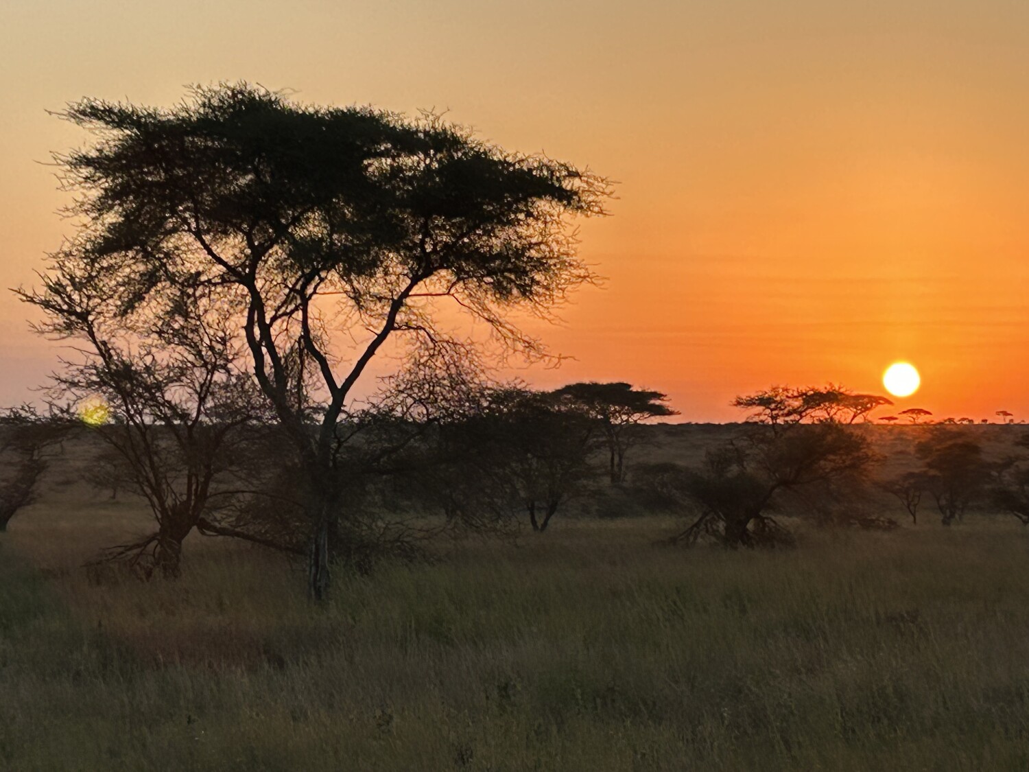 Sunrise on the Serengeti