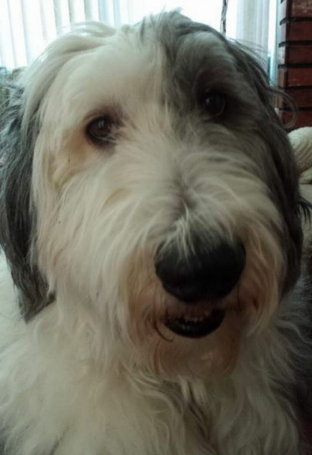 Sir McCartney aka MAC