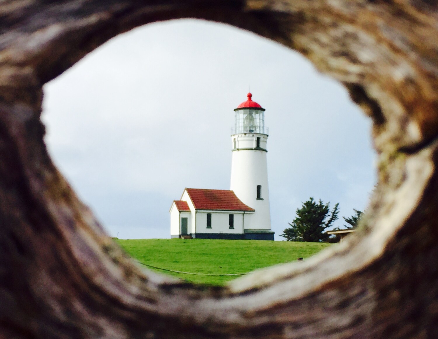 Cape Blanco Lighthouse!