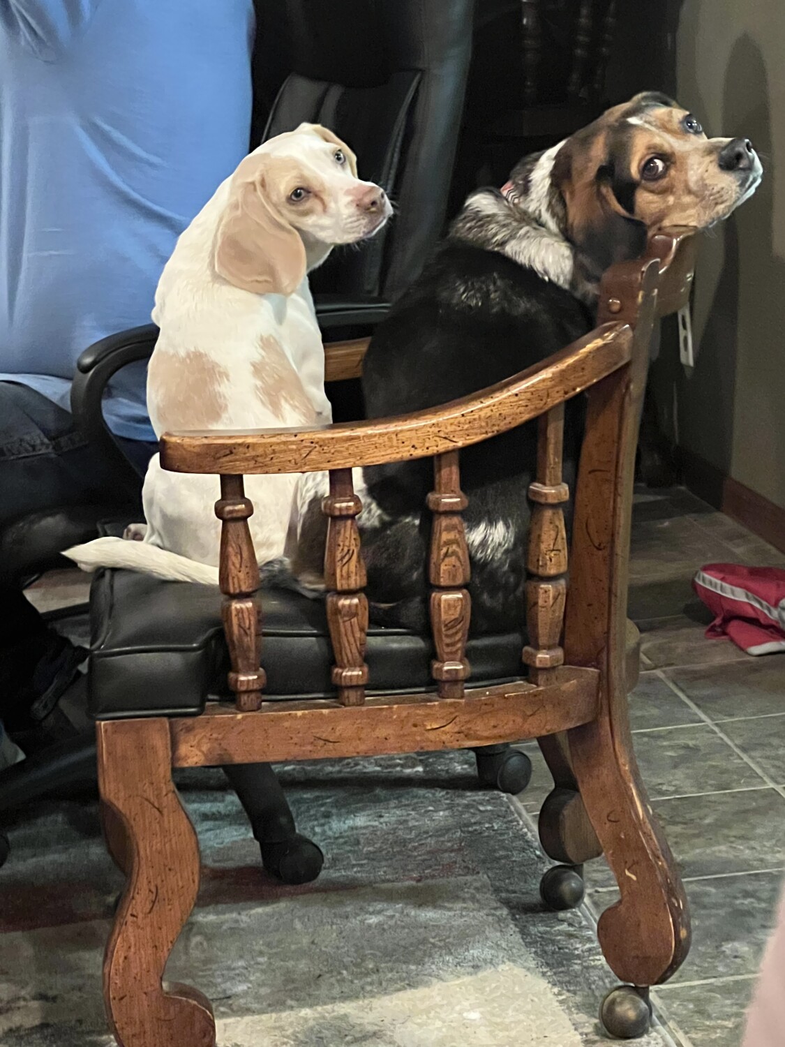 Watching Super Bowl!