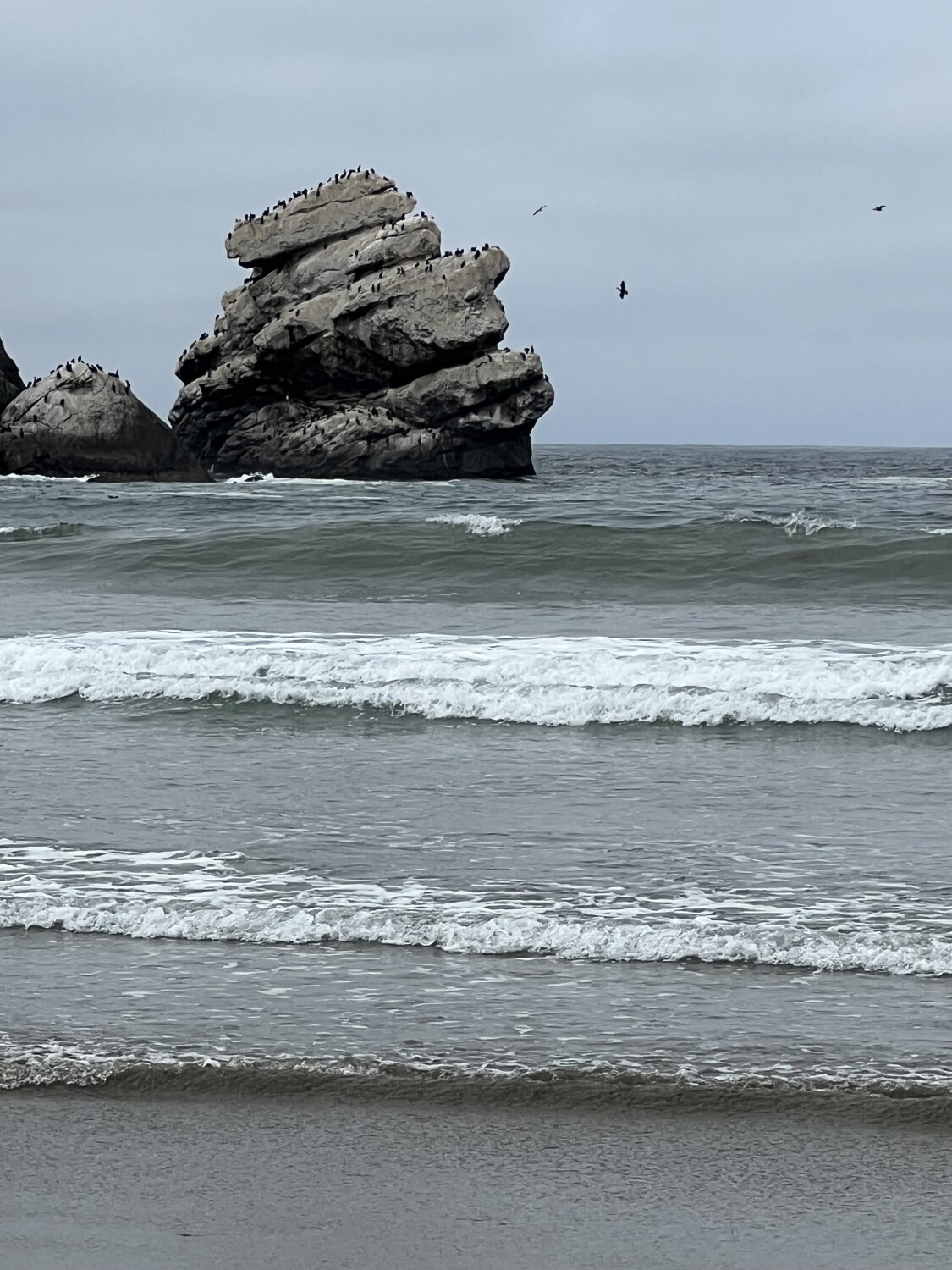 Rising from the Waves