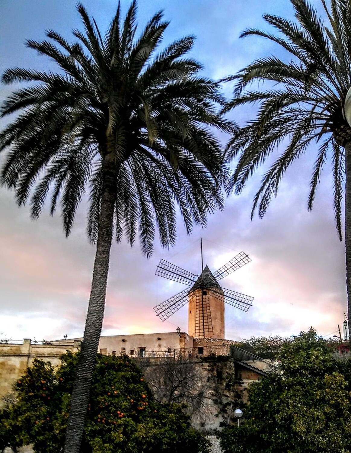 Datavision - Visit to Mallorca