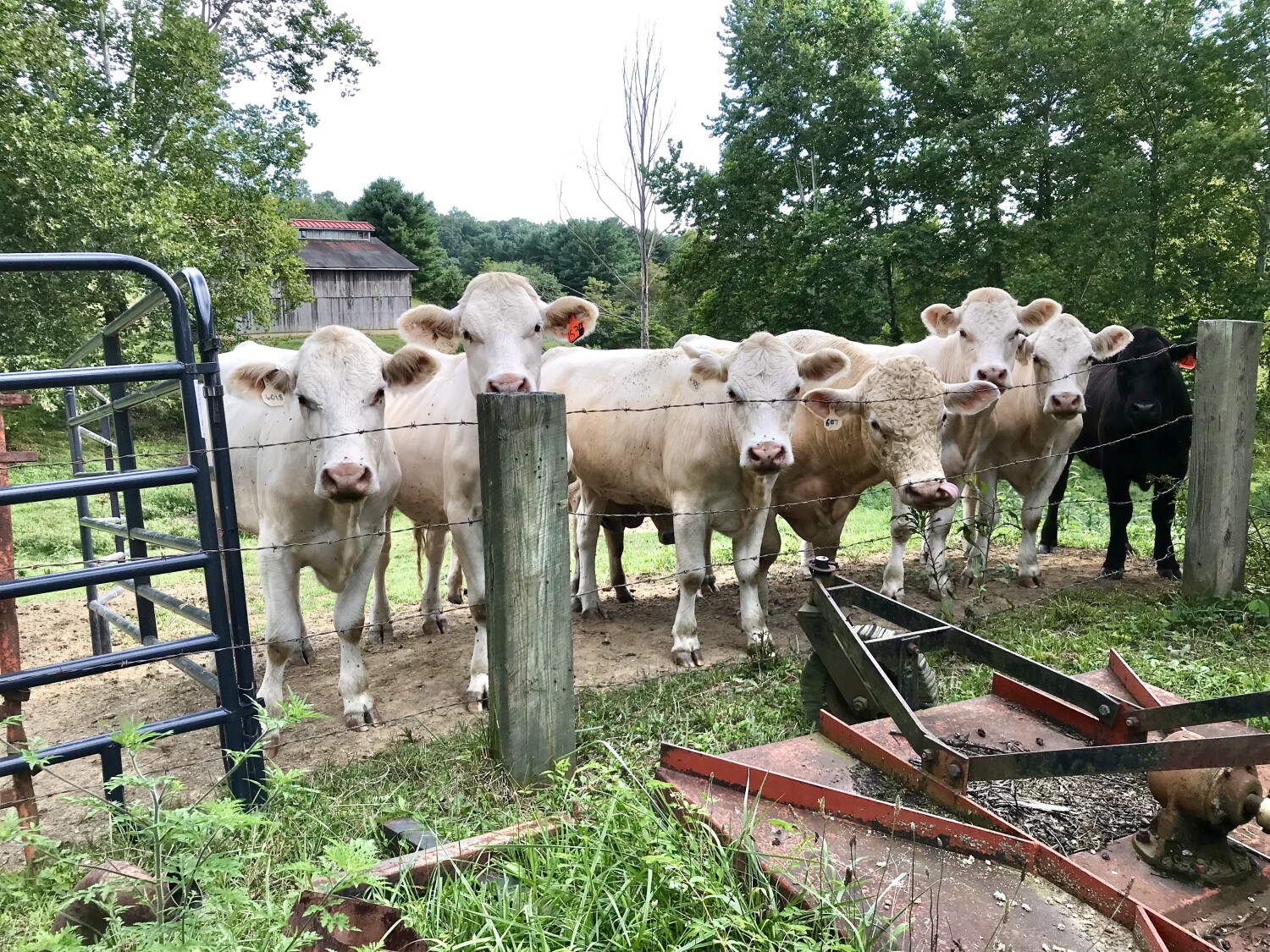 Day in the Life of a Realtor