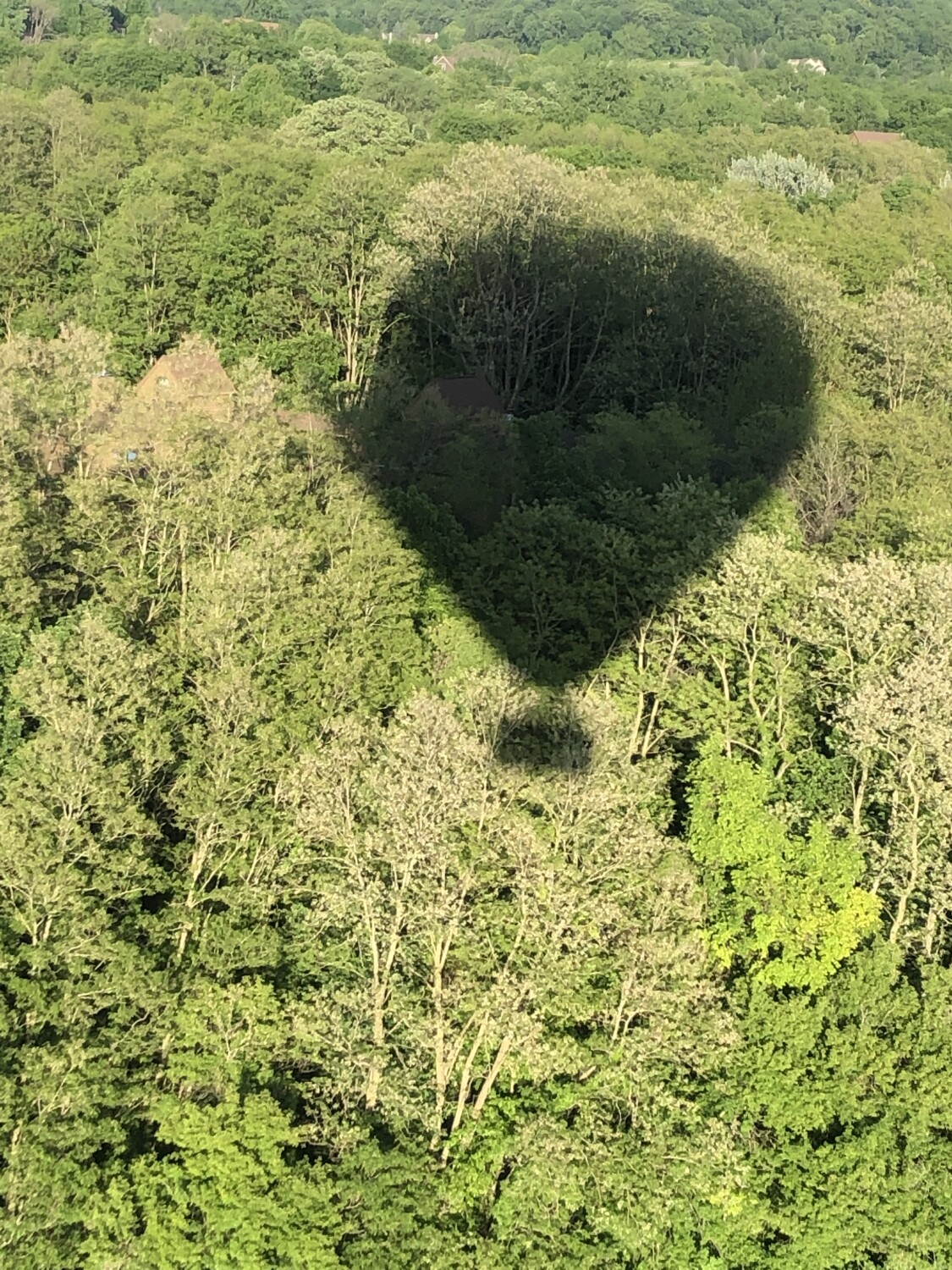 Hot Air Balloon Adventure