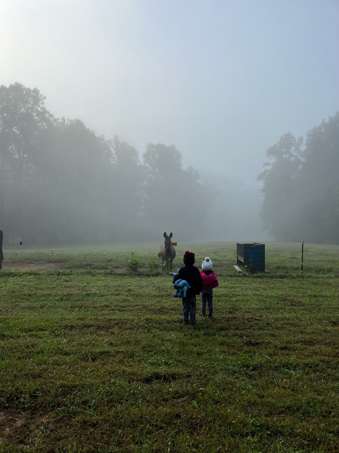Morning at Lenoir NC