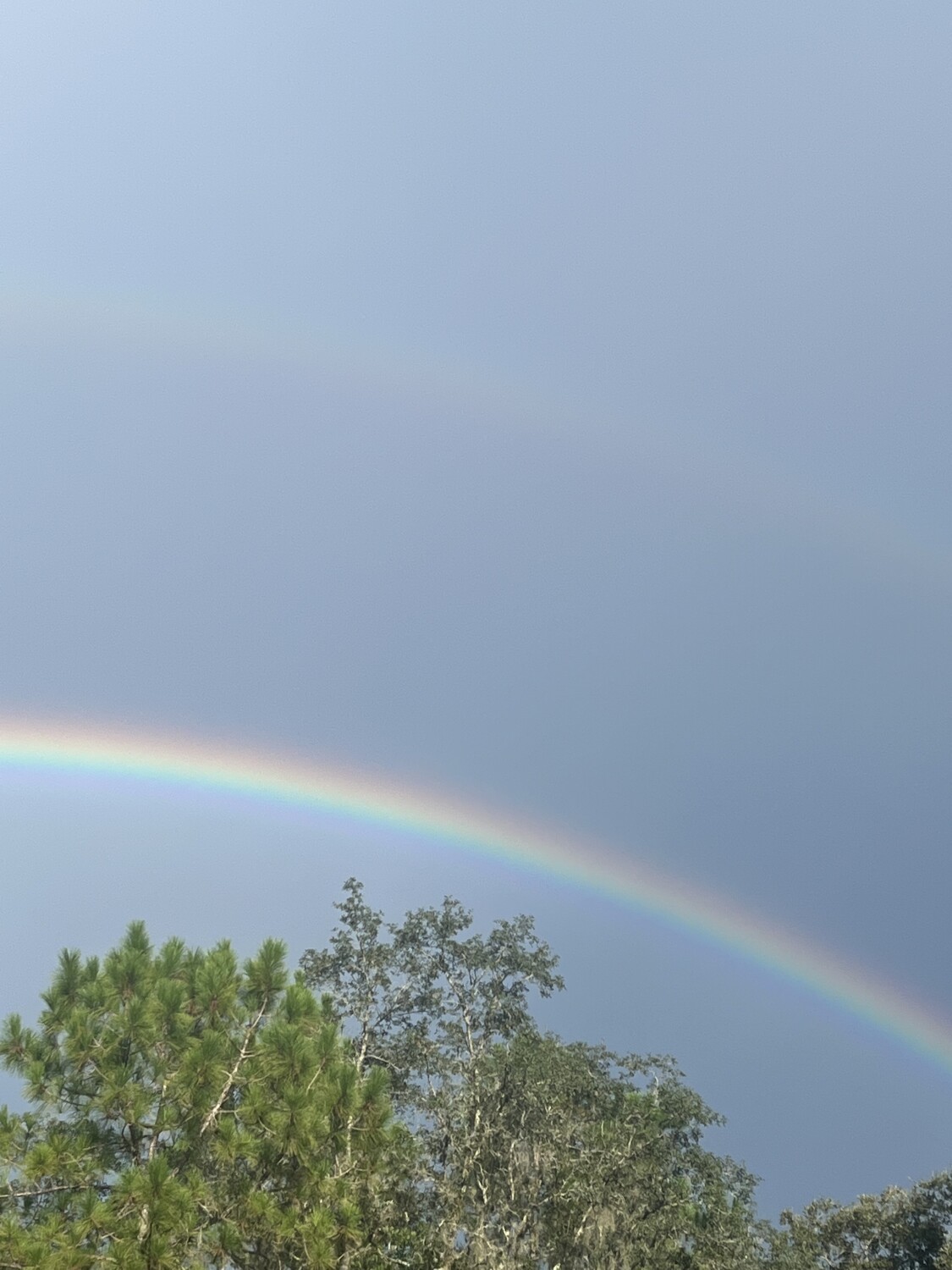 Double Rainbow