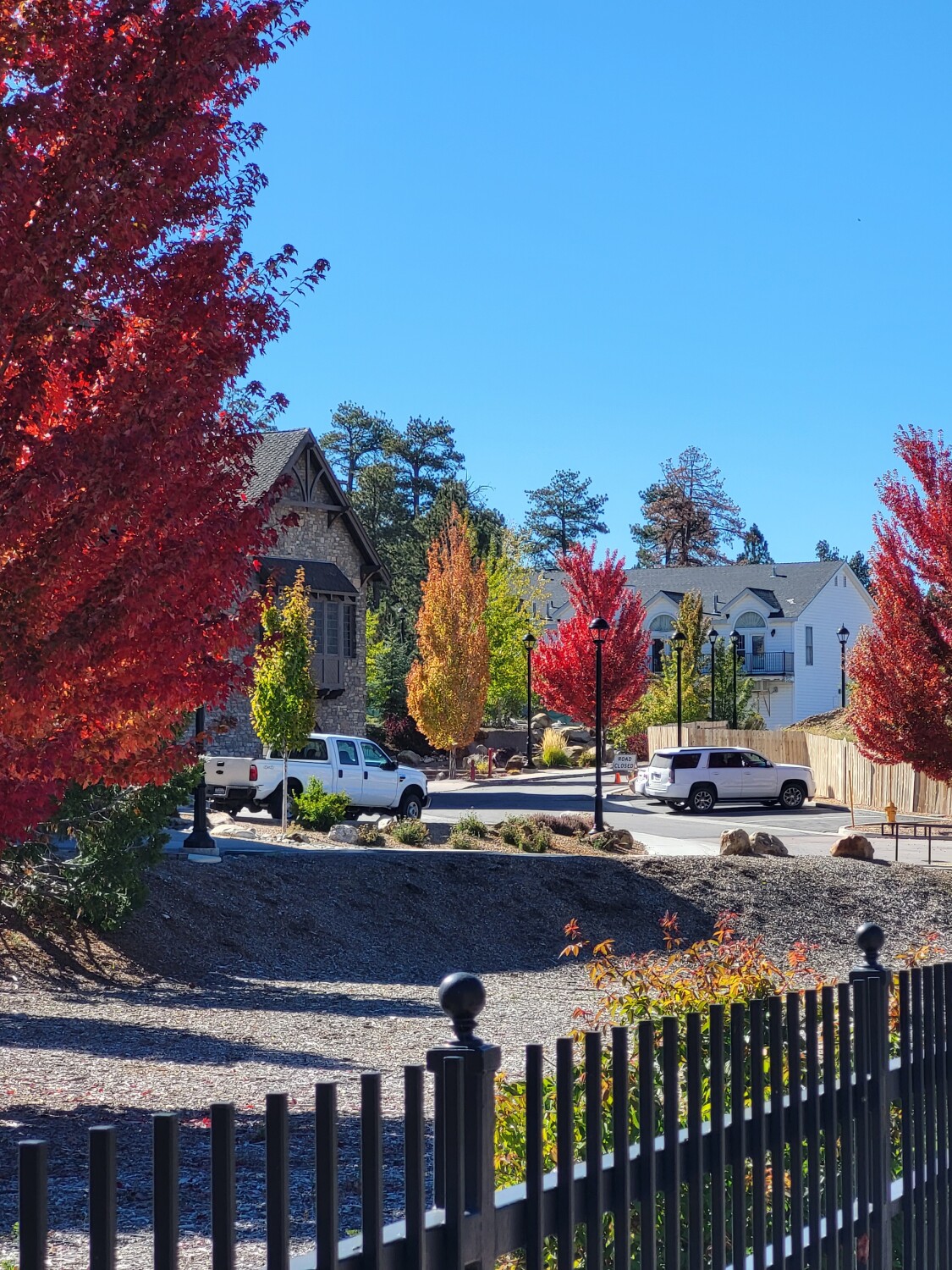 Fall is proof that change is beautiful! 🍁🍃🍂