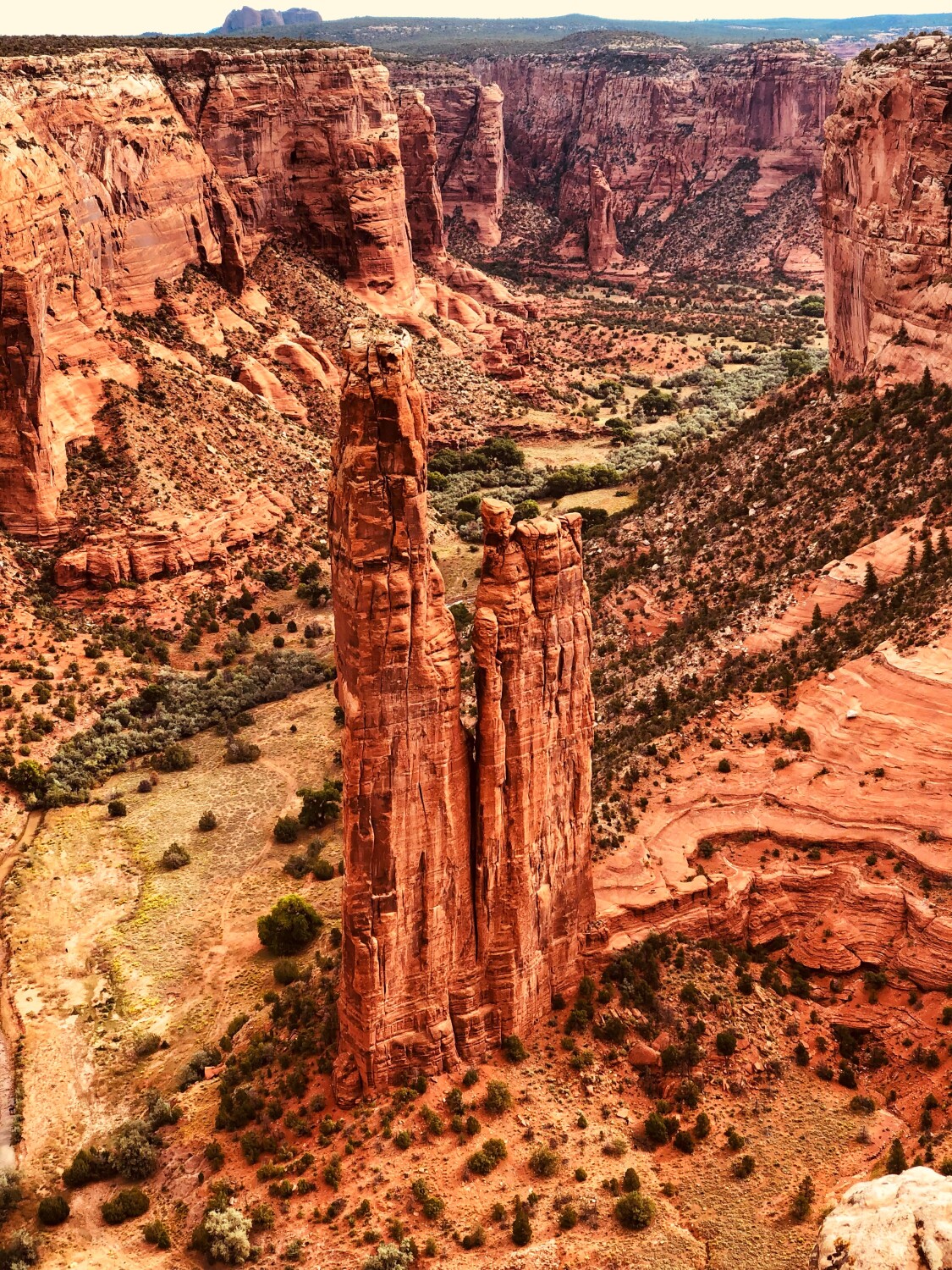 Spider Rock