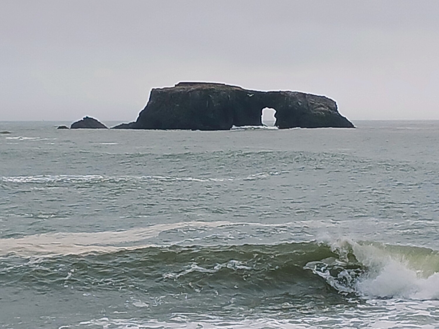 Goat Rock, North Coast