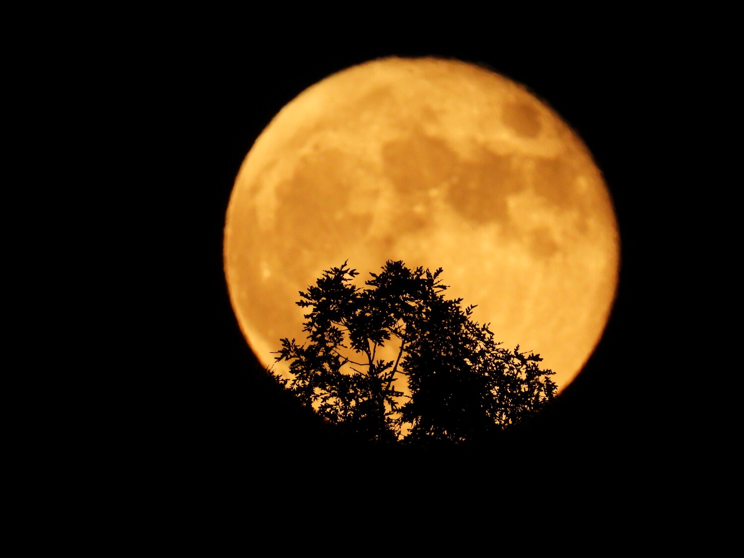 2023 Blue Super moon