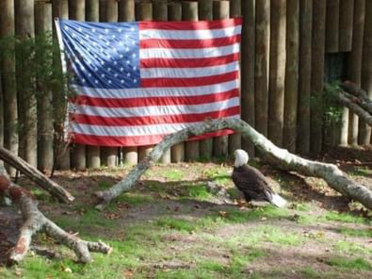 America’s icon’s