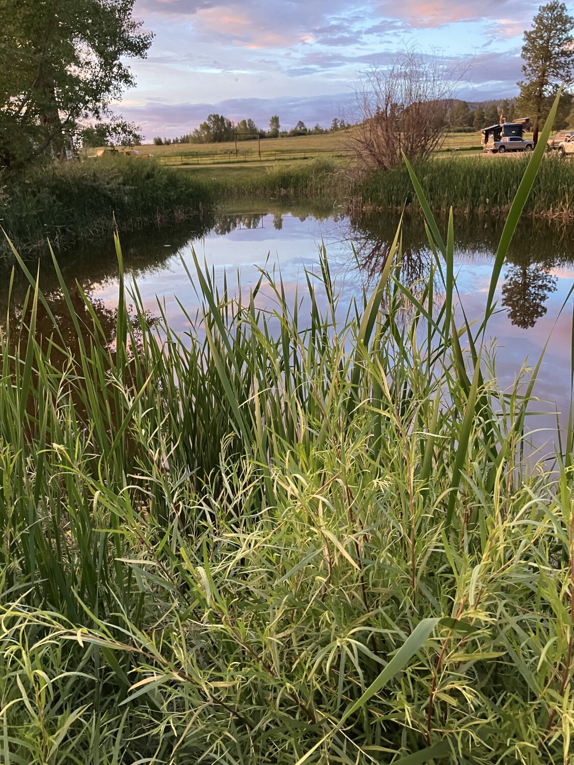 Pond at Sunset