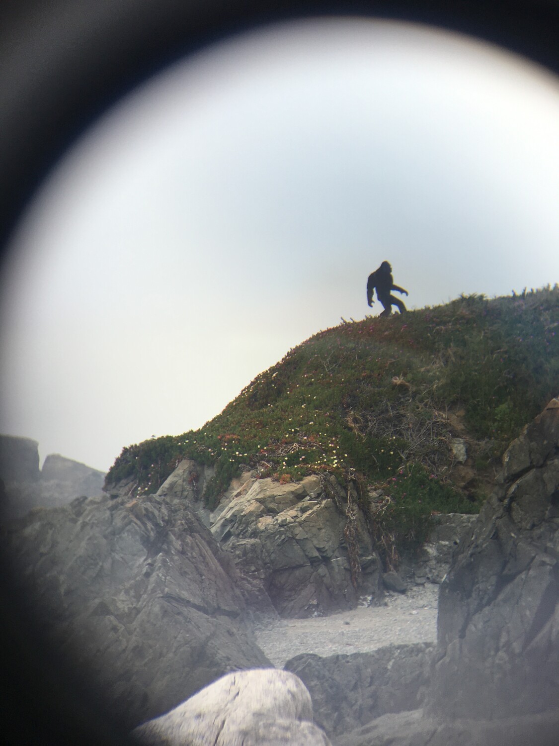 Crescent City Bigfoot