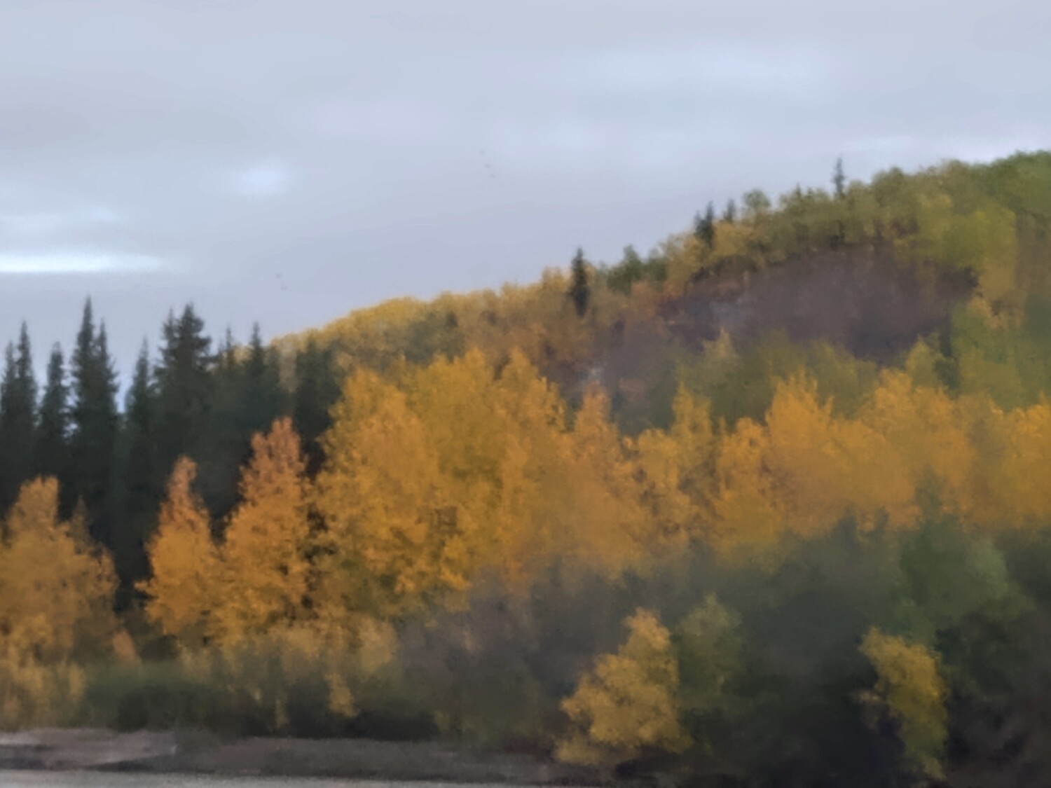 Fall in Alaska