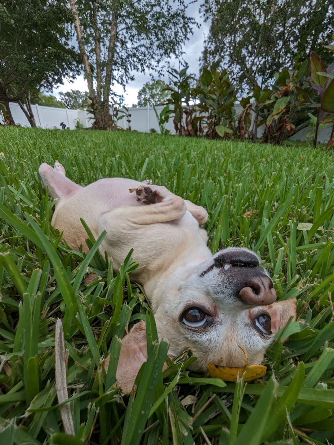 Biggie living his best life!