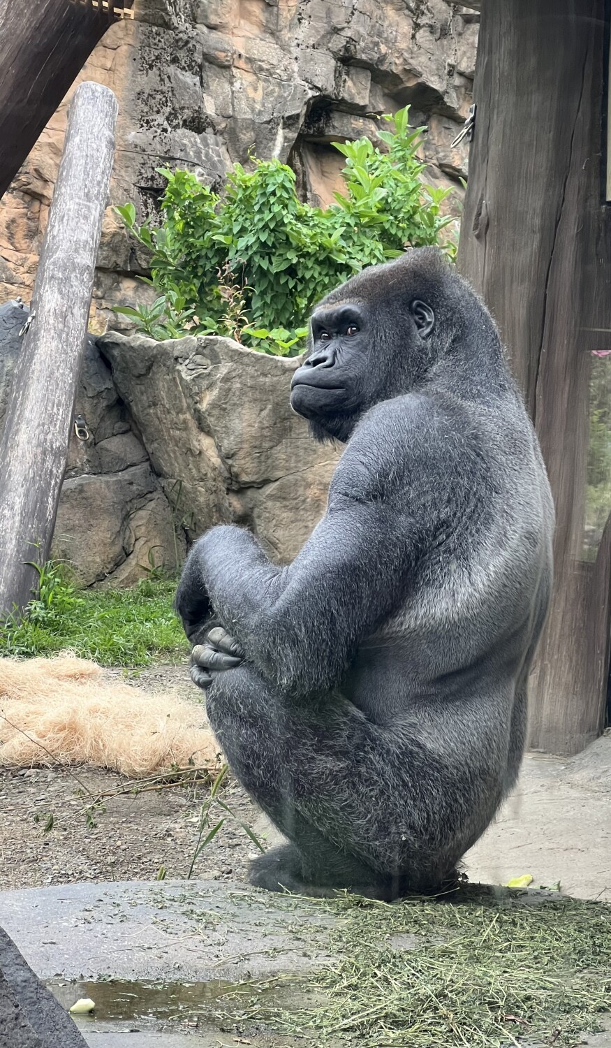 Keeping an eye on all humans