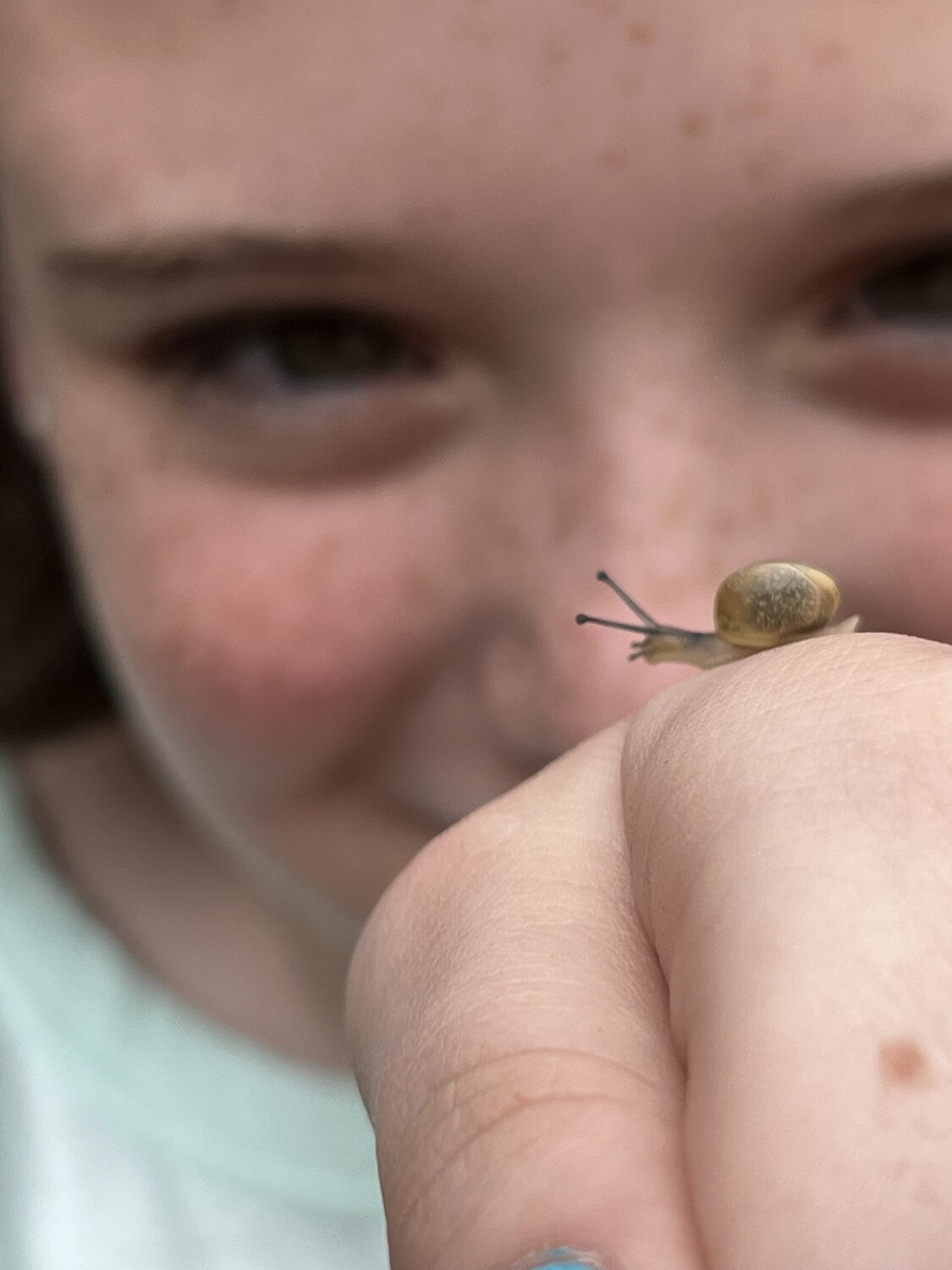 Behold the beauty of the snail!