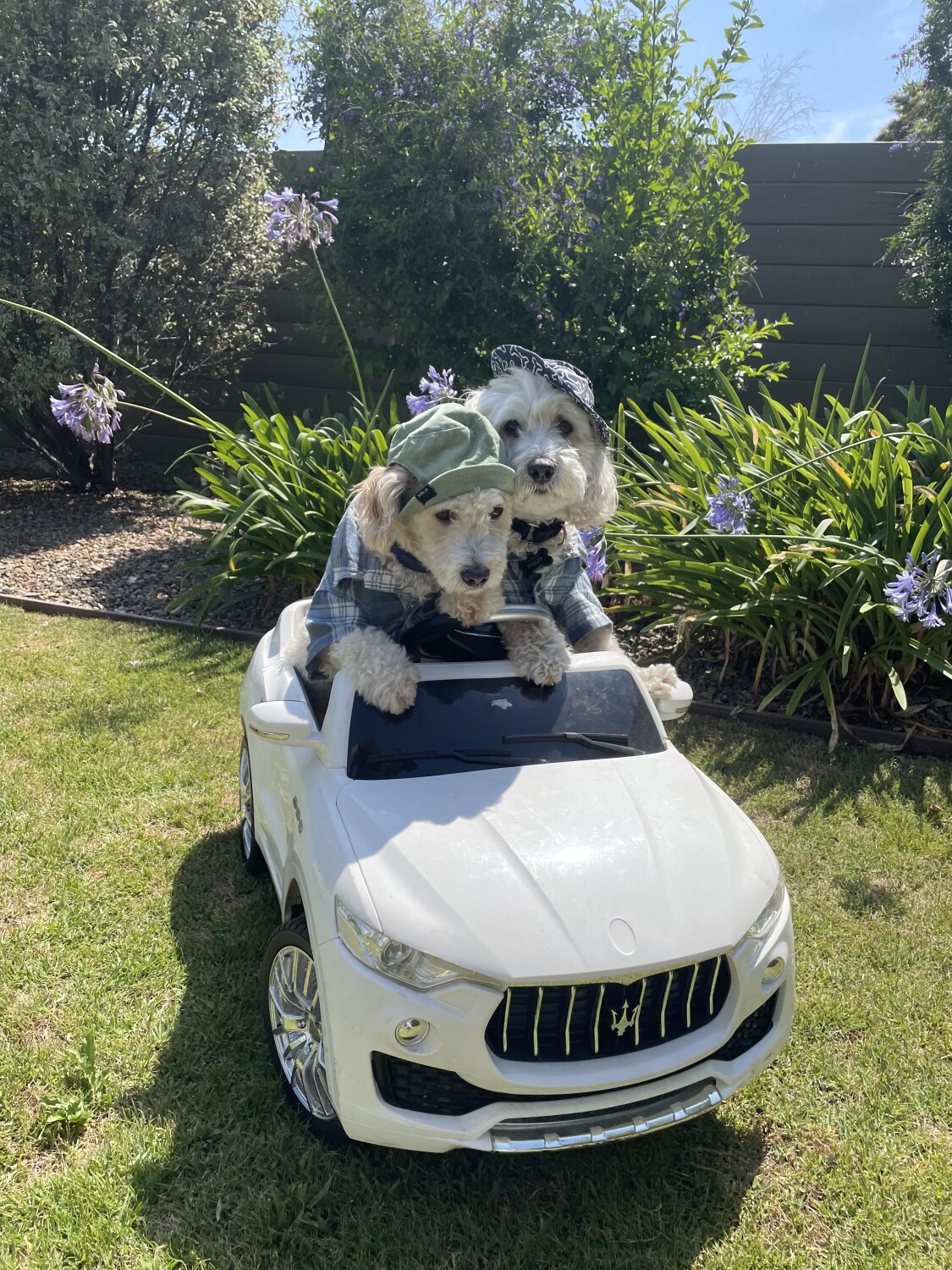 Finley and Burton in  a Sunday afternoon ride!!