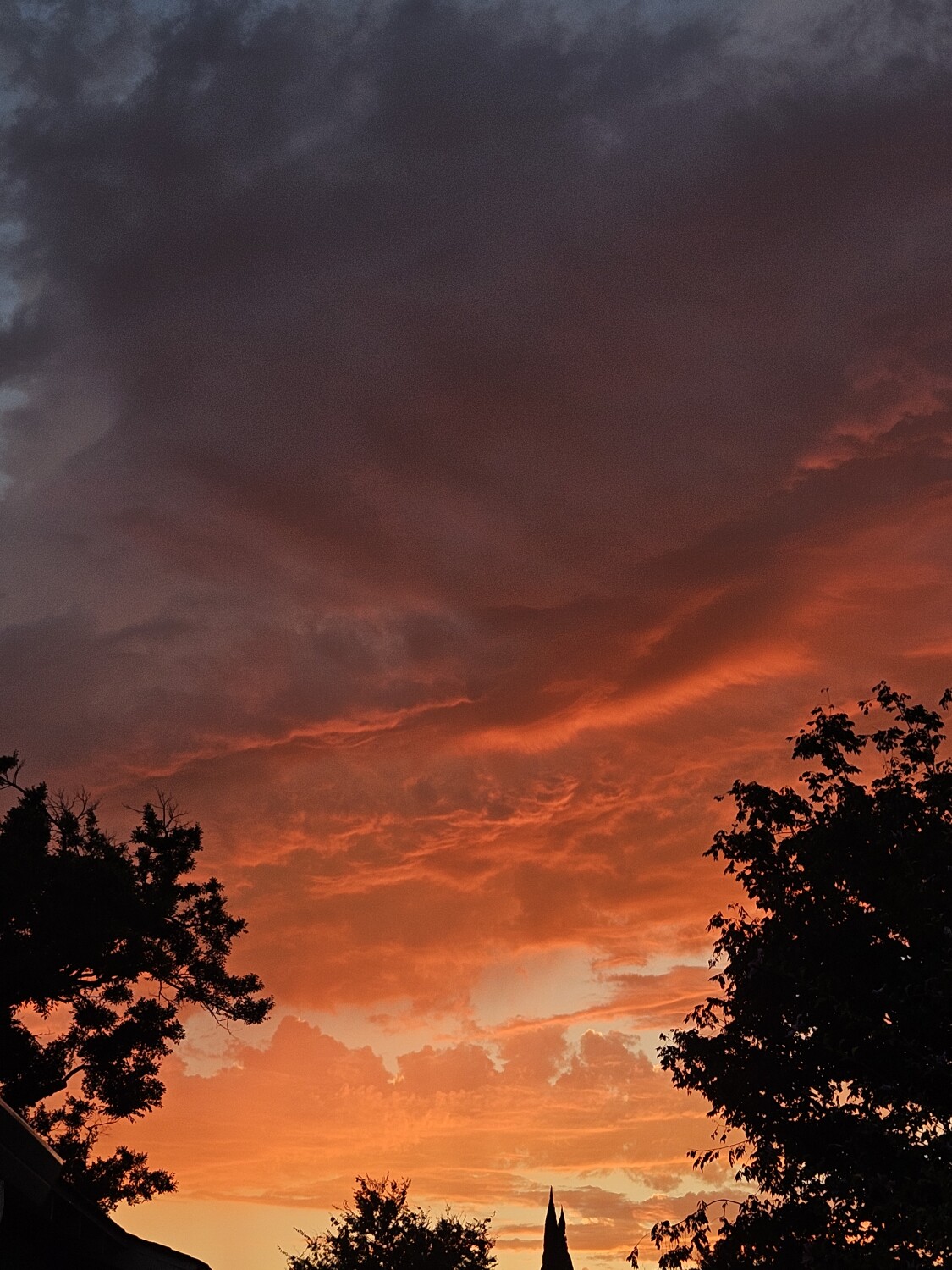 The fall color of the Sunset