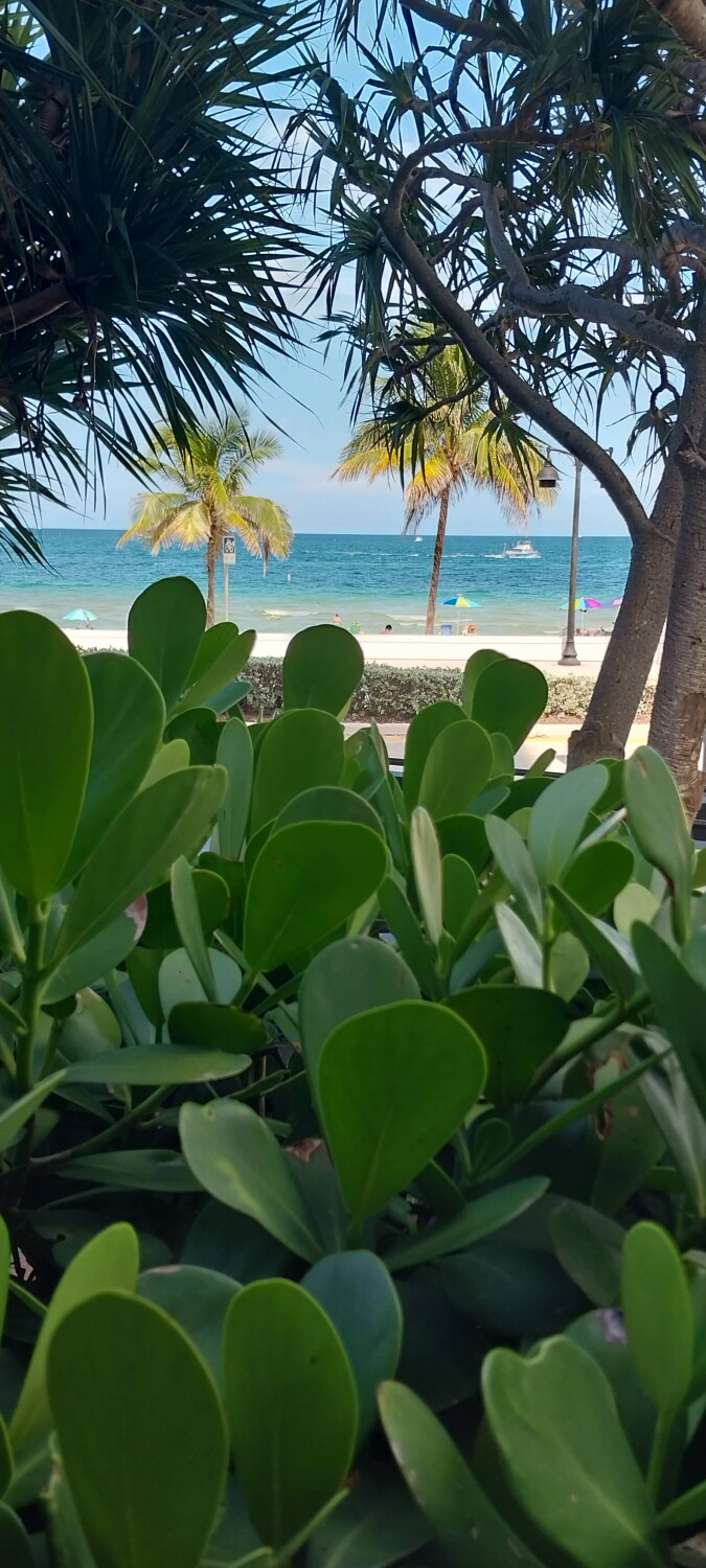 Sipping on Tea by the Sea