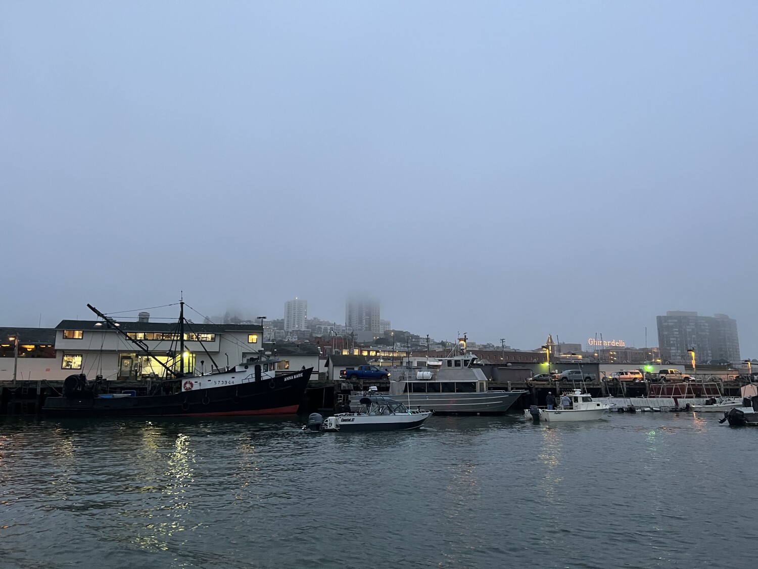 Early Bird Catches the Fish!